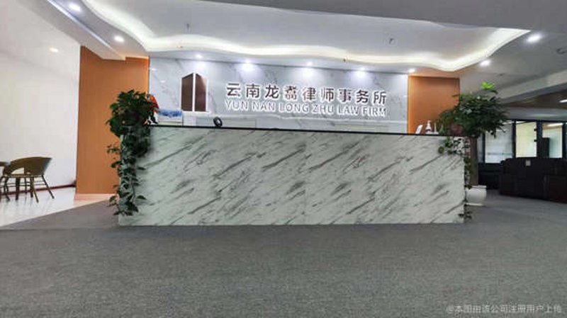 法律咨询:守护你的每一份权益
